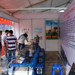 專業(yè)會(huì)議及展覽服務(wù) 南寧市悅龍會(huì)議展覽服務(wù)有限責(zé)任公司為東盟博覽會(huì)、廣西婚博會(huì)等展會(huì)提供標(biāo)準(zhǔn)展位一站式解決方案